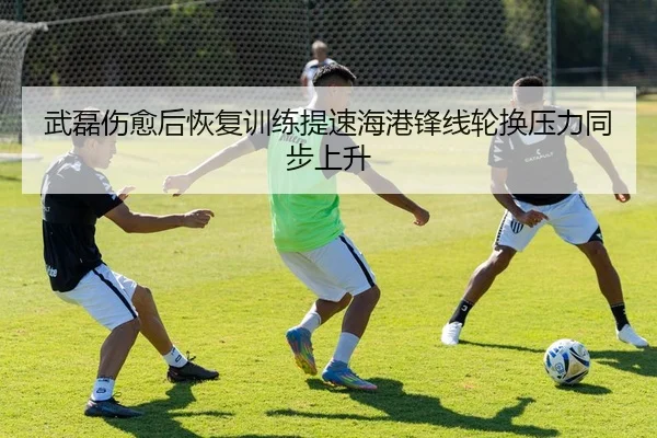 武磊伤愈后恢复训练提速海港锋线轮换压力同步上升